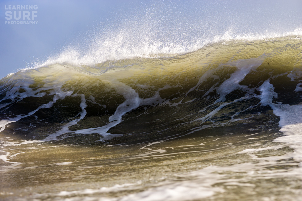 This photo was taken with the a6000 and Sigma 30mm f2.8 lens, I have adapted my Aquatech CR-60 housing to hold the smaller Sony camera, ISO 125, 30mm, f4, 1/1000.